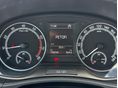 SKODA FABIA 2021/2 - 12