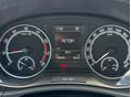 SKODA FABIA 2021/2 - 12