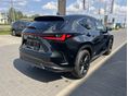 LEXUS NX 2025/10 - 4