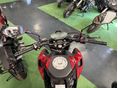CFMOTO LITE 250NK