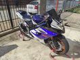 SUZUKI GSX-R 1000 2005 - 2