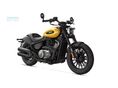 BENDA CHINCILLA 350 2026 - 2