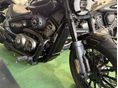 BENDA CHINCILLA 350 NEO