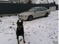 VOLVO S80 2004 - 6