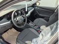 SKODA OCTAVIA 2026/7 - 5