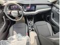 SKODA OCTAVIA 2026/7 - 7