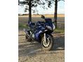SUZUKI SV 1000 S 2007/8 - 2