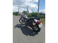 YAMAHA XV 535 (VIRAGO) 1999/6 - 4