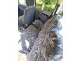 SUZUKI WAGON R+ 2002/12 - 6