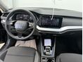 SKODA OCTAVIA 2026/7 - 6
