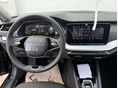 SKODA OCTAVIA 2026/7 - 7