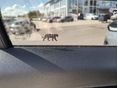 VOLKSWAGEN TIGUAN 2026/7 - 8