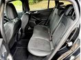 FORD FOCUS 2020/10 - 19