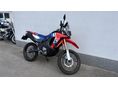 HONDA CRF 300 RALLY 2025 - 4