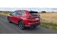 HONDA CR-V 2025/8 - 6