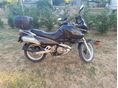 SUZUKI XF 650 (FREEWIND) 