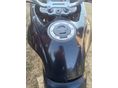 SUZUKI XF 650 (FREEWIND) 1999 - 8