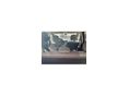 DACIA SANDERO 2012/7 - 8
