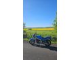 SUZUKI GS 500 E 2001 - 4