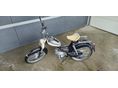 PUCH VS 50 L 