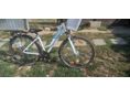 BICYCLE Gepida alboin 200