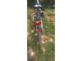 BICYCLE 2018/6 - 4