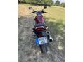 SUZUKI GSF 1200 (BANDIT) 1995/4 - 6