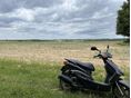YAMAHA CYGNUS X 125 2005 - 3