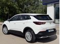 OPEL GRANDLAND X 2018/9 - 2