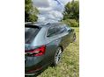 SKODA SUPERB 2020/10 - 2