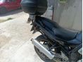 SUZUKI GSF 600 (BANDIT) 1997/7 - 2