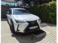 LEXUS UX 250h Special Edition AWD CVT UX250h