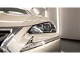 LEXUS NX 2017/1 - 2