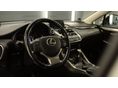 LEXUS NX 2017/1 - 4
