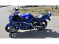 HONDA CBR 600 F4 2000/5 - 5