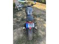 DUCATI MONSTER 600 2001 - 3