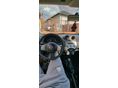 NISSAN MICRA 2013/12 - 3