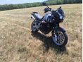 TRIUMPH TIGER 955i