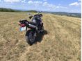 TRIUMPH TIGER 2006 - 2