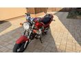 SUZUKI GSF 600 (BANDIT) 1998/8 - 4