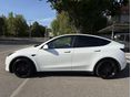 TESLA MODEL Y 2023/11 - 8