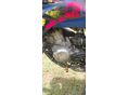 HUSQVARNA WRE 125 