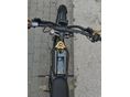 SUR-RON LIGHT BEE X 2025/4 - 3