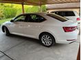 SKODA SUPERB 2018/11 - 5