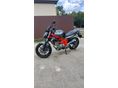 SUZUKI SFV 2015 - 6