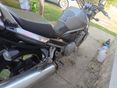 SUZUKI GSF 650 2008/8 - 5