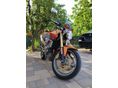 HONDA CB 600 F (HORNET) 2006/1 - 3