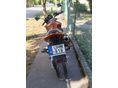 HONDA CB 600 F (HORNET) 2006/1 - 4