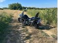 YAMAHA XVS 1300 A MIDNIGHT STAR 2010/10 - 9