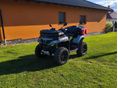 CFMOTO CFORCE 1000 